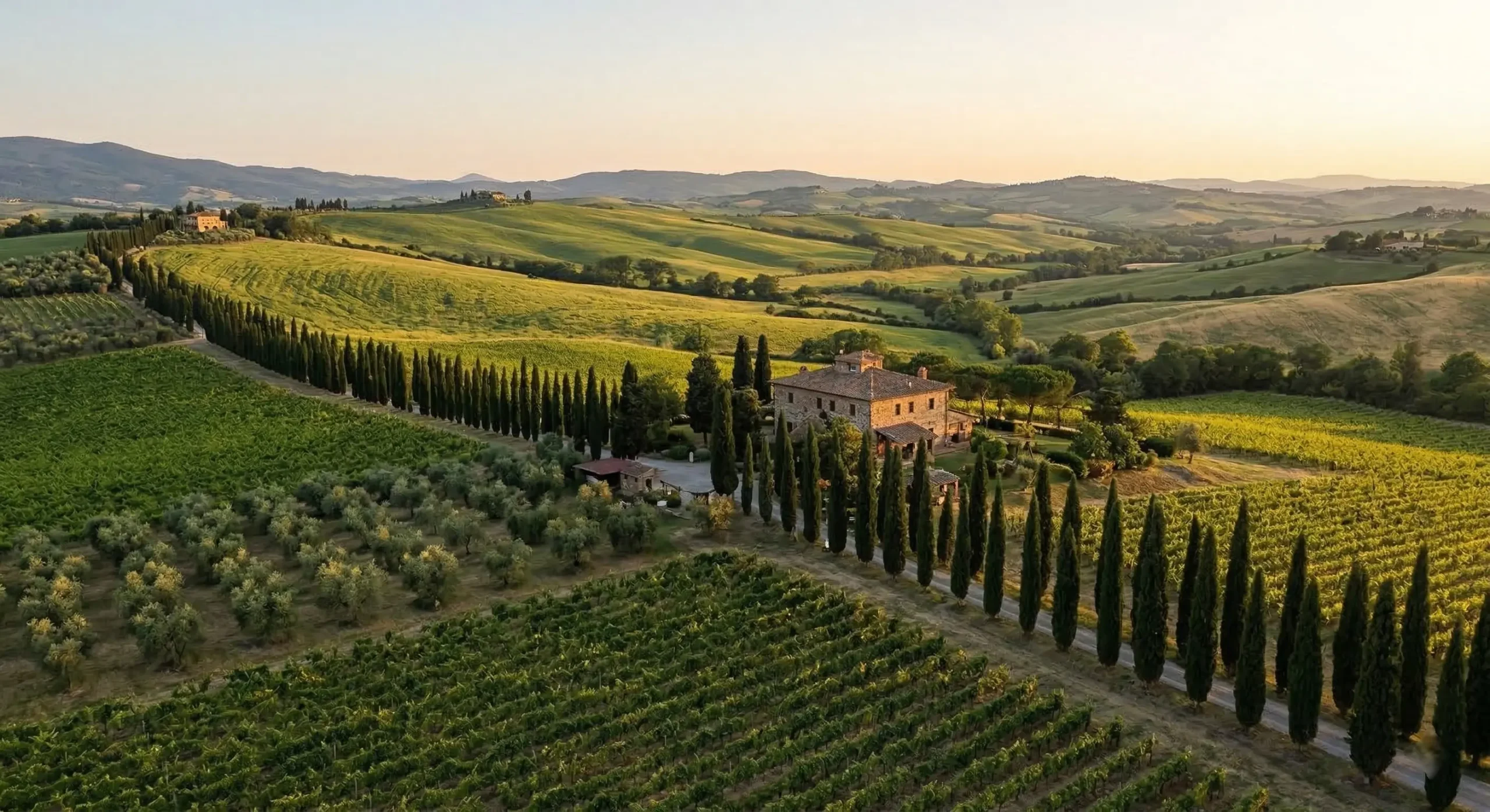 Chianti Tuscany rolling hills with vineyards, olive groves, and cypress trees under golden hour sunlight.